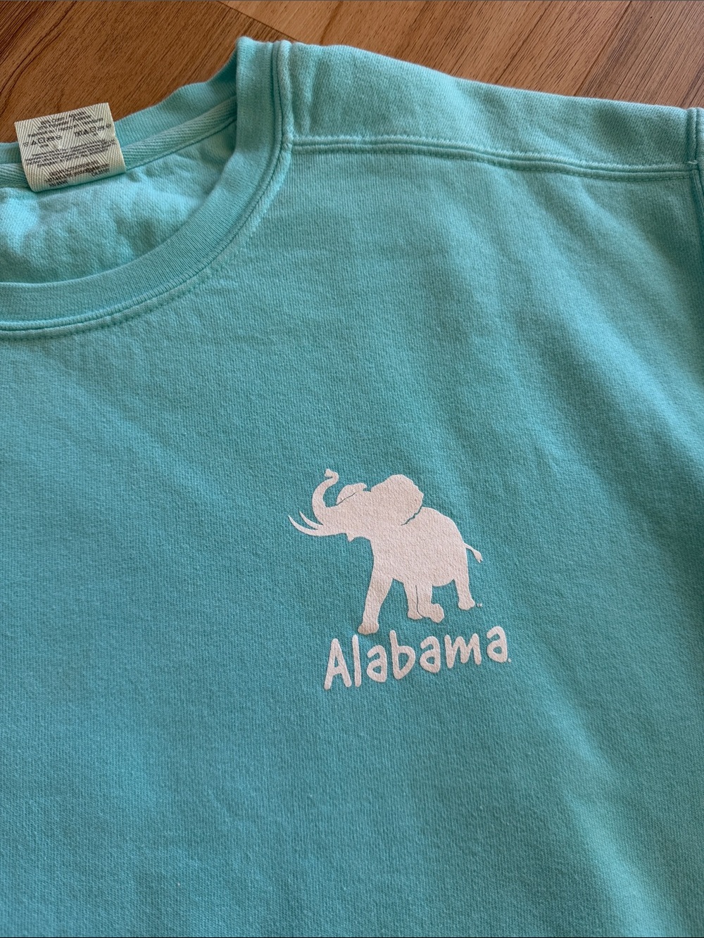 Comfort Colors Light Aqua Alabama Elephant Sweatshirt